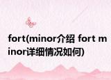 fort(minor介绍 fort minor详细情况如何)