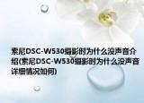 索尼DSC-W530摄影时为什么没声音介绍(索尼DSC-W530摄影时为什么没声音详细情况如何)