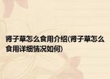 肾子草怎么食用介绍(肾子草怎么食用详细情况如何)