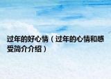 过年的好心情（过年的心情和感受简介介绍）