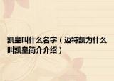 凯皇叫什么名字（迈特凯为什么叫凯皇简介介绍）