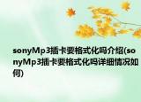 sonyMp3插卡要格式化吗介绍(sonyMp3插卡要格式化吗详细情况如何)