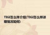 TIGI怎么样介绍(TIGI怎么样详细情况如何)