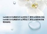 tvs5南方少儿频道为什么突然没了,要怎么找回来介绍(tvs5南方少儿频道为什么突然没了,要怎么找回来详细情况如何)
