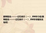 新鲜阳光———记忆碎片（一）_350字介绍(新鲜阳光———记忆碎片（一）_350字详细情况如何)