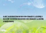 在部门中常常听到某某SBHSBH到底是什么意思呢介绍(在部门中常常听到某某SBHSBH到底是什么意思呢详细情况如何)