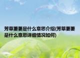 芳草萋萋是什么意思介绍(芳草萋萋是什么意思详细情况如何)