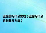 蓝鲸是吃什么食物（蓝鲸吃什么食物简介介绍）