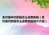 支付宝中付款码怎么设置密码（支付宝付款码怎么设置密码简介介绍）