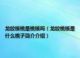 龙纹核桃是桃核吗（龙纹桃核是什么桃子简介介绍）