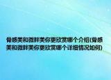 骨感美和微胖美你更欣赏哪个介绍(骨感美和微胖美你更欣赏哪个详细情况如何)