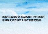 家有4年猫现无法养该怎么办介绍(家有4年猫现无法养该怎么办详细情况如何)