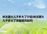 林志颖大儿子多大了介绍(林志颖大儿子多大了详细情况如何)