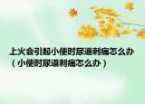 上火会引起小便时尿道刺痛怎么办（小便时尿道刺痛怎么办）