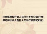 小猪佩奇和社会人有什么关系介绍(小猪佩奇和社会人有什么关系详细情况如何)