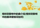 相伴到黎明中的曲介绍(相伴到黎明中的曲详细情况如何)