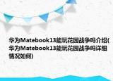 华为Matebook13能玩花园战争吗介绍(华为Matebook13能玩花园战争吗详细情况如何)