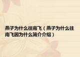 燕子为什么往南飞（燕子为什么往南飞因为什么简介介绍）