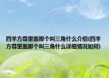 四羊方尊里面那个叫三角什么介绍(四羊方尊里面那个叫三角什么详细情况如何)