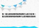 有一首儿歌歌词有噜啦噜啦嘞什么歌介绍(有一首儿歌歌词有噜啦噜啦嘞什么歌详细情况如何)