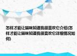 怎样才能让猫咪知道我很喜欢它介绍(怎样才能让猫咪知道我很喜欢它详细情况如何)
