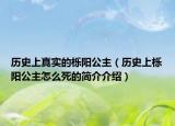 历史上真实的栎阳公主（历史上栎阳公主怎么死的简介介绍）