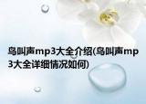 鸟叫声mp3大全介绍(鸟叫声mp3大全详细情况如何)
