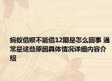 蚂蚁借呗不能借12期是怎么回事 通常是这些原因具体情况详细内容介绍