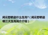 闲云野鹤是什么生肖?（闲云野鹤是哪三大生肖简介介绍）