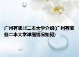 广州有哪些二本大学介绍(广州有哪些二本大学详细情况如何)