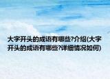 大字开头的成语有哪些?介绍(大字开头的成语有哪些?详细情况如何)