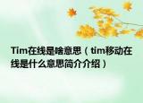 Tim在线是啥意思（tim移动在线是什么意思简介介绍）