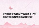 小别离跟小欢喜是什么关系（小欢喜和小别离有关系吗简介介绍）