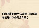 88年属龙的是什么命啊（88年属龙的是什么命简介介绍）