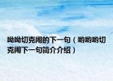 呦呦切克闹的下一句（哟哟哟切克闹下一句简介介绍）