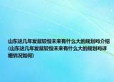 山东这几年发展较慢未来有什么大的规划吗介绍(山东这几年发展较慢未来有什么大的规划吗详细情况如何)