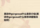 英语中gorgeous什么意思介绍(英语中gorgeous什么意思详细情况如何)