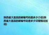 陕西省大荔县的邮编号码是多少介绍(陕西省大荔县的邮编号码是多少详细情况如何)