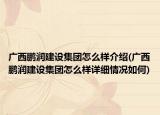 广西鹏润建设集团怎么样介绍(广西鹏润建设集团怎么样详细情况如何)