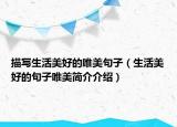 描写生活美好的唯美句子（生活美好的句子唯美简介介绍）
