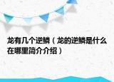 龙有几个逆鳞（龙的逆鳞是什么在哪里简介介绍）