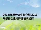 2013(年是什么生肖介绍 2013 年是什么生肖详细情况如何)