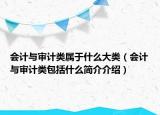 会计与审计类属于什么大类（会计与审计类包括什么简介介绍）