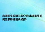 水调歌头歌词王菲介绍(水调歌头歌词王菲详细情况如何)