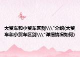 大贸车和小贸车区别\