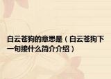 白云苍狗的意思是（白云苍狗下一句接什么简介介绍）