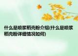 什么是喷浆稻壳粉介绍(什么是喷浆稻壳粉详细情况如何)