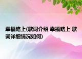 幸福路上(歌词介绍 幸福路上 歌词详细情况如何)