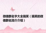 微信群名字大全搞笑（搞笑的微信群名简介介绍）
