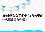 ofo小黄车欠了多少（ofo欠费有什么影响简介介绍）
